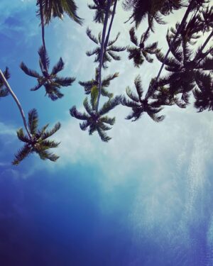 Tiga Instagram - Hier encore nous arpentions forêts et plages sauvages, nous dormions dans des hamacs et nous portions fièrement nos tatouages Wassu-Cocal (un peuple indigène habitant dans l'état d'Alagoas)…
Merci ma soeur chérie @catoony de m’avoir accompagnée sur un de mes périples à travers le Monde. 
Ô comme j’aime le Brésil ! Pour sa force vitale et son authenticité 🙌✨🍀

Gratidão de todo meu coração 😌🫶✨
#bresil🇧🇷 #forestlife #voyage #découverte #rencontres #amazonbrasil #natureloveuses #sisterhood💕 #friendship #tatooed #flowerpower #water #trees #snake #adventure #passion #partage #lesplusbellesimagessontdansmoncoeur