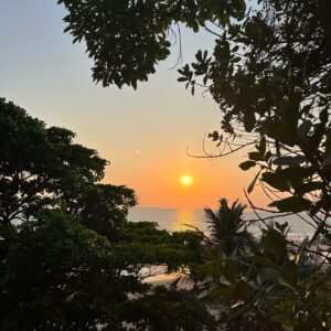 Tiga Instagram - Avant de partir, qqn m’a dit que l’Inde était une destination qui effrayait bcp de gens car elle était « le miroir de notre culpabilité »… J’ai adoré, j’ai ri, je pense que c’est très vrai 🙏

• J’ai décidé de regarder dans les yeux cette petite sœur du continent africain,  souvent précédée, elle aussi, par sa réputation. 

Oui, je voyage seule 🌍
Oui, je ss une aventurière 🤙
Oui, mes chers infaTIGAbles, je ferai attention :) C’est le but de ce voyage qui fait déjà vibrer mon cœur ❤️

Merci pour ton amitié et pour ta bienveillance et stp, toi aussi, prends bien soin de toi ☀️✨