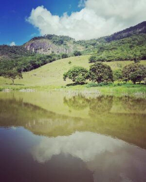 Tiga Instagram - Hier encore nous arpentions forêts et plages sauvages, nous dormions dans des hamacs et nous portions fièrement nos tatouages Wassu-Cocal (un peuple indigène habitant dans l'état d'Alagoas)…
Merci ma soeur chérie @catoony de m’avoir accompagnée sur un de mes périples à travers le Monde. 
Ô comme j’aime le Brésil ! Pour sa force vitale et son authenticité 🙌✨🍀

Gratidão de todo meu coração 😌🫶✨
#bresil🇧🇷 #forestlife #voyage #découverte #rencontres #amazonbrasil #natureloveuses #sisterhood💕 #friendship #tatooed #flowerpower #water #trees #snake #adventure #passion #partage #lesplusbellesimagessontdansmoncoeur