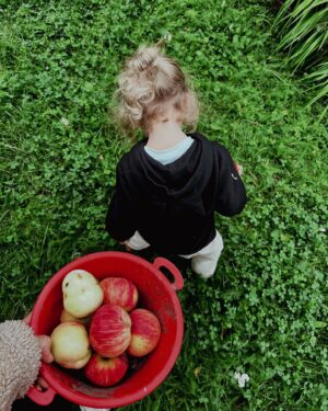 Tiia Elg Instagram - 🍁Syksy on pyörinyt lähinnä sienien ympärillä niin kuin monella muullakin. On ryöpätty, pakastettu, paistettu. Syöty ja säilötty monella tyylillä. 

Kiire ei ole ollut, on ehtinyt olla ja fiilistellä aurinkoista syyskuuta. 

🌻Mukaan on mahtunut ihania tanssihetkiä parhaassa seurassa, mökkeilyä, kalastusta ja Tammisia muutamassakin merkityksessä. 😎

Täällä viikolla käytiin katsomassa meidän salkkaritiimin kanssa @jarkkotamminen_official Jarkko Tamminen show. Erittäin vahva suositus pimeneviin syysiltoihin. Naururypyt syvenee ja elämä pitenee, se on varma. ⭐️⭐️⭐️⭐️⭐️

📽️Sadonkorjuun ja tanssien lisäksi ollaan kuvattu uusia juonikuvioita.  Syksy näyttää, mitä tuleva tuo eteen Tammisen emännille. Mitä veikkaat, miten meidän käy??? 👀👀👀👀👀 @emmanopanen @mtvsalatutelamat 

Eka kuva📸 @nikistrbian ❤️