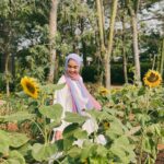 Tika Bravani Instagram - Sore