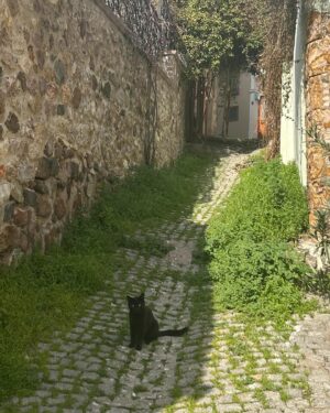 Tilbe Saran Instagram - Yorgunluk alan sokaklar #Ayvalık