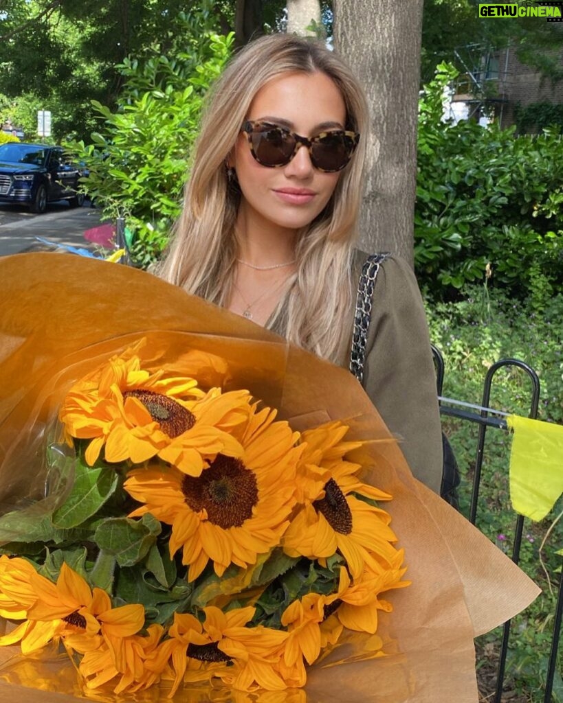 Tilly Keeper Instagram - sunny sun sunshine sunday sunflowers