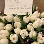 Tilly Keeper Instagram - non mi piacciono i piccioni