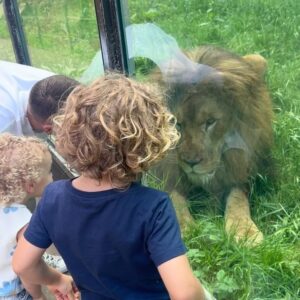Tiziri Digne Instagram - Family time ☀️

Petite escapade au @safarithoiry les enfants ont adoré ! On a passé la nuit avec les loups 🐺(cf dernière vidéo) et la journée dans le zoo à la rencontre des animaux, plus ou moins sympas (cf avant dernière vidéo 😂) !C’était une expérience formidable en famille que je vous recommande vivement ! ❤️

#sortieenfamille #famille #family #thoiry #nuitimmersive #hebergementinsolite #zoothoiry