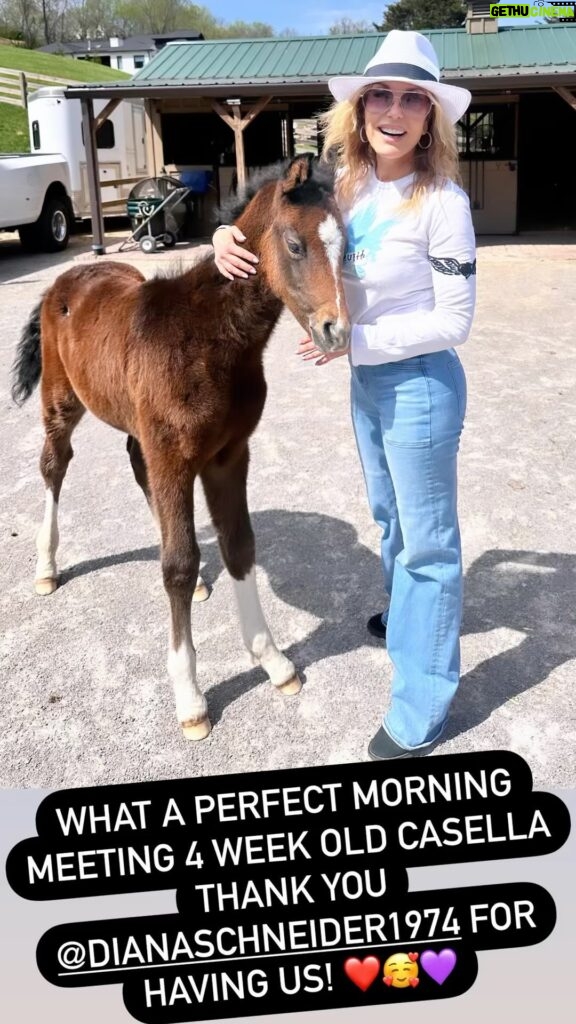 Tracey E. Bregman Instagram - What a beautiful day meeting 4 week old Casella! Thank you @dianaschneider1974 ❤️❤️ #foal #filly #horse #love #baby #farm #farmlife #ranch #ranchlife #ranchlifeinheels #friends