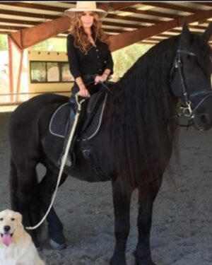 Tracey E. Bregman Instagram - We lost the soul of my Ranch this morning. Standing Ovation or Ovi, as he was known as, passed away with me by his side. This is the hard part for loving these beautiful souls so fiercely. We had 10 incredible years together and my boys and my whole family loved him deeply. Ovi, I hope you are doing canter pirouettes in heaven with Buddha by your side. #standingovation #freisian #love 💔❤️