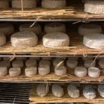 Tracy Pollan Instagram - We had a wonderful cheese extravaganza @marieannecantin in Paris. Thank you @harlancoben for the introduction