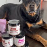 Tracy Spiridakos Instagram - You guys, my friend Shayne made these healthy desserts and they’re really really good. Nala agrees, even though they’re for humans and she’s never tried them, she can sense their greatness. Get yours @guiltlessbyshayne before they’re all gone! #healthyhumandesserts #notforpets