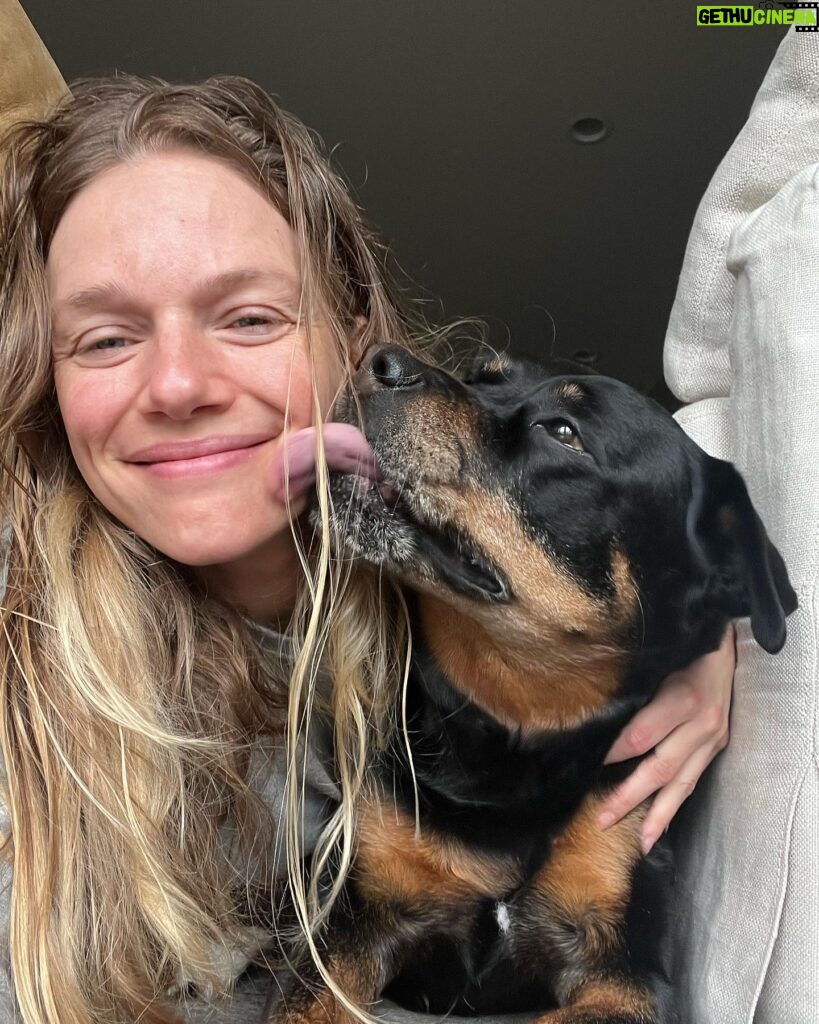 Tracy Spiridakos Instagram - 🥰