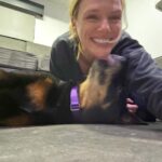 Tracy Spiridakos Instagram - Nala came to work with me today. A series. 🐾