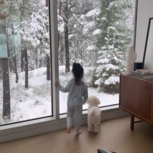 Triana Iglesias Instagram - Holiday Highlights from the slow days between Christmas and New Year’s Eve. Cocooned in the softness of what feels like never-ending snow. ❄️ 

Even if I am a Sunbeam Baby - I love the spirit of snow and Water in all its forms.

Fun fact: Newly fallen snow has this unique ability to absorb sound. It’s the trapped air within the snow that gives it that velvety and sponge-like texture. The countless tiny air pockets serve as traps for sound waves, preventing them from bouncing and reaching our ears.