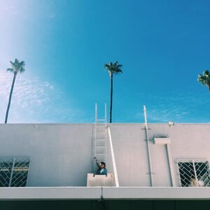 Troy Leigh-Anne Johnson Instagram - Can I climb this ladder to the sky? 🌴