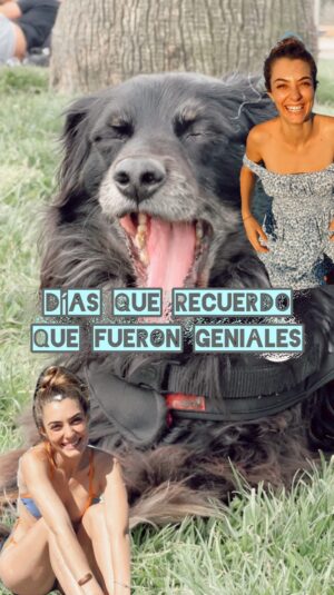Tutú Vidaurre Instagram - 🐕‍🦺¡ Días que recuerdo que fueron geniales ! 🫶🏼
Ya que les da curiosidad mi vida de perrito, acá les dejo momentos lindos de mi vida perruna 🐾
La comida que mencione se llama @hillspetchile #graciasalaciencia #petlovers #ad