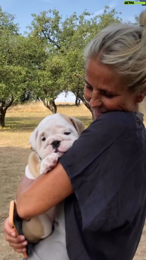 Ulrika Jonsson Instagram - Happy 1st Birthday, my darling boy! Hank Winston Monet (Rocanellie Enlightment). You have no idea how much joy you’ve brought since you came into my life so serendipitously. Christ, it’s been hard work. But you are singularly the most affectionate; the neediest and the most loving Bully I’ve had. You follow me wherever I go - you still won’t let mummy wee alone. You’re obsessed with balls. You’re a mentalist. You love the long grass and wilderness. You love other dogs and other hoomans. You have no spatial awareness and still identify as a little puppy and insist on standing on people’s laps. You’re smart and curious. Have a bit of separation anxiety when mummy leaves the house for 10 mins. You run as if you’re a Greyhound. Love nothing better than eating grass. And you no longer have your balls. I couldn’t love you more if I tried. Hanky Panky. Hankus Pankus. Wanky Hanky (when you’re being a dick). Chunky. Mummy’s Boy.