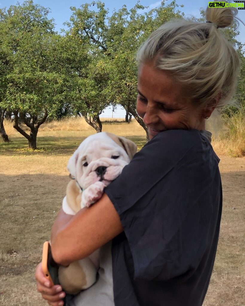 Ulrika Jonsson Instagram - This is Hank Winston Monet. He arrived a week ago. Those of you who know me, know I’ve fostered and adopted before. And I will do so again. I continue to support @theedwardfoundation . I know getting a puppy isn’t popular with many. Hank came into my life somewhat unexpectedly and serendipitously. Adoption will be a part of my life again at some point but this was right for me now. Welcome Hank. (Rocanellie Enlightenment) Leo is being incredibly patient like the king he is. (Hank has got Winston as his middle name in tribute to our late friend @winstonandbentley ❤️)