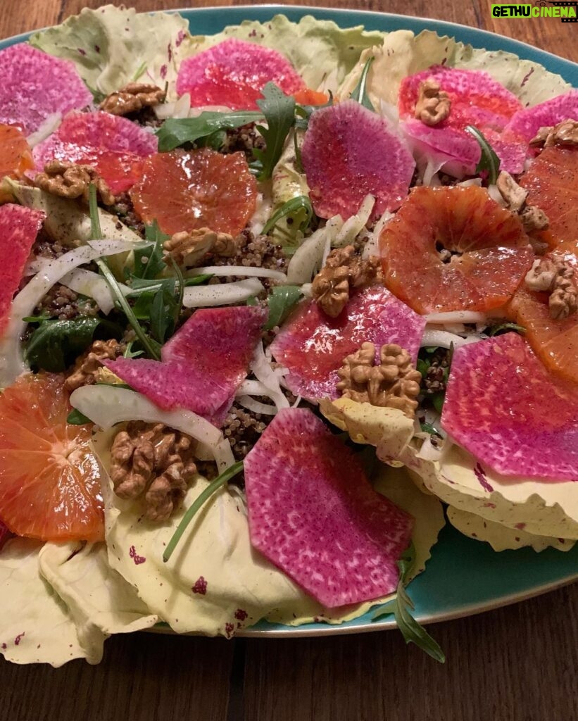 Ulrika Jonsson Instagram - Castelfranco Radicchio, rocket, fennel, blood orange, radish, walnuts, orange, quinoa. Dressed in hazelnut vinaigrette. I’m very saucy. Then succumbed to cubed creamy Lancashire cheese and avocado. On the side. Everyone likes a bit on the side. 🙄 All my own work. Thanking.