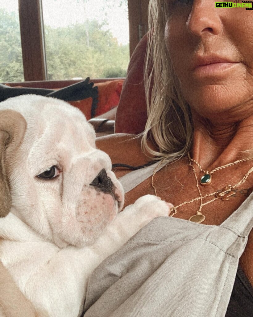 Ulrika Jonsson Instagram - This is Hank Winston Monet. He arrived a week ago. Those of you who know me, know I’ve fostered and adopted before. And I will do so again. I continue to support @theedwardfoundation . I know getting a puppy isn’t popular with many. Hank came into my life somewhat unexpectedly and serendipitously. Adoption will be a part of my life again at some point but this was right for me now. Welcome Hank. (Rocanellie Enlightenment) Leo is being incredibly patient like the king he is. (Hank has got Winston as his middle name in tribute to our late friend @winstonandbentley ❤️)