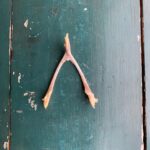Ulrika Jonsson Instagram - Wishbone. I wish for other people’s honesty. I wish for their courage. I wish for them to mean what they say. I wish for their integrity. I wish for them to know I am brave and I can hear the truth. I wish for them not to take me for a fool. I wish for them to know that I can make my own decisions. I wish for them to know that I will call out all of the above every time. For anything else, there is always chicken noodle soup. And Bulldogs.