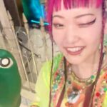 Utaha Instagram – .
『 踊る！さんま御殿!! 』年末特大4時間SP〜ひとり暮らし満喫女子の大忘年会〜 に出演させていただきました🐰💖

さんま御殿２度目の出演！
相変わらずひな壇は緊張しましたが、みんな面白くて笑い転げた１日になりました！！🎶
よく一人で飲みに行っていますが見かけても放っておいてくださいね🤫笑

hair: @_m.339 
stylist: @misaishibashi_ 
@yushokobayashi 
@tntntutu 
@pinkoijp 
@666wa666