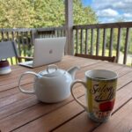 V. E. Schwab Instagram – Sitting here at this quiet table with the Pentlands in the distance, I just passed 100,000 words on my next standalone novel, which I’ve been calling Bones. 

I still have a ways to go, but it’s important to celebrate the small steps toward big goals. 

#writing #bookstagram #authorlife #veschwab