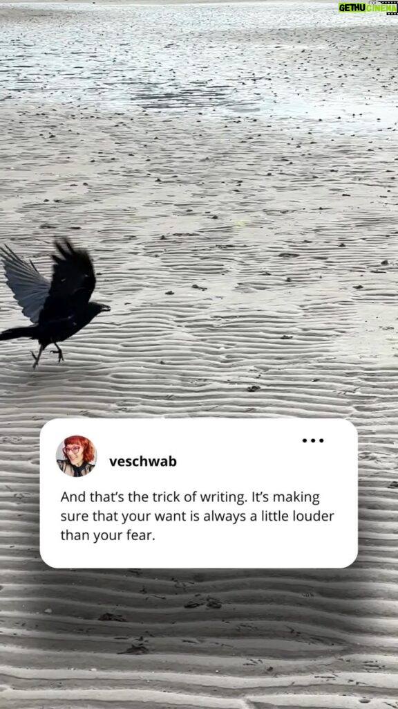 V. E. Schwab Instagram - Writers always ask me, when does the fear of failure go away? And the thing is, it never does. Success, like courage, isn’t about the *lack* of fear. It’s just about making sure the want is always louder. . . . #veschwab #reminder #lifehack #lifeadvice #writersofinstagram #dailymotivation