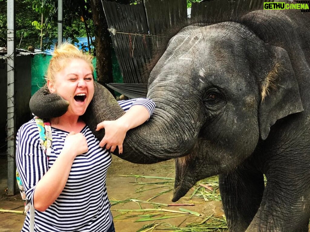 Valentina Mazunina Instagram - Слон обнимает слона)))Я плакала от счастья!рада , что отныне в моей жизни есть настоящие СЛОНЫ!)))Спасибо слонам!!!!)))))