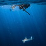 Valentine Thomas Instagram - What’s up Bruce? 🦈 📷 @j.kowitz