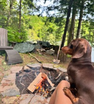 Valentine Thomas Instagram - A beast yet a mama’s boy 🥰 Frogs, chipmunks, mouse, squirrels, snakes, birds, if it’s moving he’s going after it 😅 Sausage gotta pay rent ha! No animal were harmed in the making of these videos 😂 @teddythetravellingsausage @danielf86