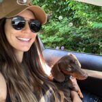 Valentine Thomas Instagram - A beast yet a mama’s boy 🥰 Frogs, chipmunks, mouse, squirrels, snakes, birds, if it’s moving he’s going after it 😅 Sausage gotta pay rent ha! No animal were harmed in the making of these videos 😂 @teddythetravellingsausage @danielf86