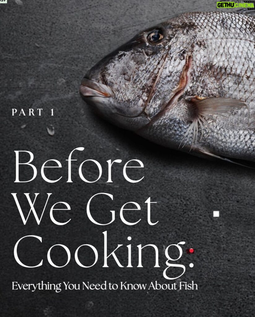 Valentine Thomas Instagram - IF YOU’VE BEEN LOOKING FOR A SIGN TO BUY THIS BOOK - THIS IS IT! If you’re great at cooking, this is for you, if you’re shit at cooking, this is also for you. From a technical section to learn how to use and prep fish and seafood, to world recipes and sustainability tips, you’ll have the ultimate fish bible in your hands. Oh and the photography is phenomenal (thanks to @andrewthomaslee )! Ha, not funny jokes aside, the first week of a book coming is really important so if you’ve been wanting to wait, please don’t hehe. If you don’t like it I’ll refund you (probably not).