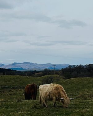 Valeriia Karaman Instagram - Destination Scottish Highlands