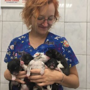 Valeriya Bukina Instagram - На днях я рассказывала о своей подруге, которая больше 10 лет спасает животных в Петрозаводске.

Если пропустили эту историю, я сохранила её в вечных сторис в папке «Помощь клинике». Там есть вся подробная информация про эту трагедию.

Я благодарю каждого, кто помогает восстановить клинику.

А для тех, кто хочет, но не знает, как помочь, предлагаю помочь и клинике, и своему здоровью!

С 7 марта я проведу благотворительный марафон, средства от которого направлю на восстановление клиники. 

Если вы хотите подготовить тело к лету - это лучшее время, чтобы начать. Тренировки будут разные, уровень подготовки неважен. 

Записывайтесь по ссылке в шапке профиля.

Буду рада каждому!

#спортивныймарафон 
#подготовимтелоклету 
#помощьживотнымпопавшимвбеду