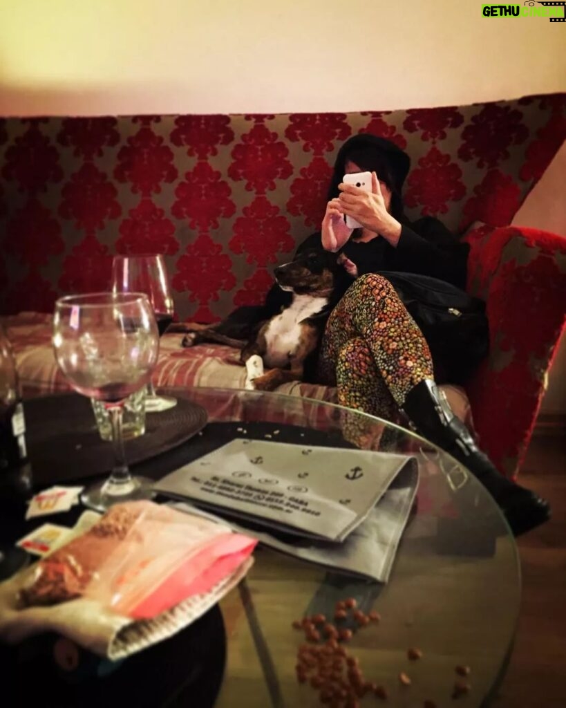 Vanesa González Instagram - mi amiga que detesta los sillones y los perros @moyanolaura