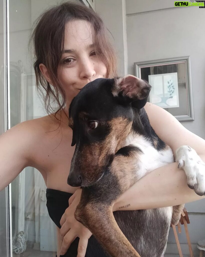 Vanesa González Instagram - el amor es un perro verde