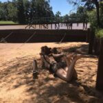 Vanesa González Instagram - 'era tan hermoso allá arriba que me olvidé completamente del proyecto se me borró de la memoria' (el corazón de un perro)