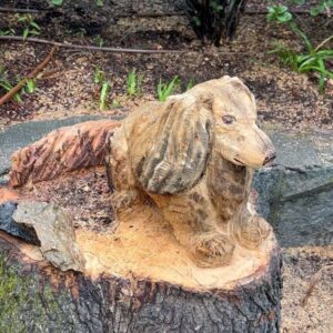Vanessa Carlton Instagram - Now Lord Victor can live forever! Thank you for bringing back the love of my life Marguerite! 🖤

Note: No tree was harmed in the making of Victor. Tree was rotting from the inside and had to be cut. Never cut a tree just to make a statue 🖤
Tree sculpting by: @marguerite_go_wash_your_feet