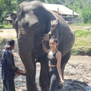 Vanessa Cruez Instagram - A picture with the Big Girl🐘 deserves to be on the feed and she was pregnant😍 

#vanessa #vanessacruez #thailand #chiangmai #elephant #animal #mud #spa #love #spiritanimal #happiness #smile #baby #pregnant #vacation #travel #travelphotography #instagood #elephantsantuary #animals #animallovers #posing #rescue #nofilter #instagram #instaanimal ##instadaily #loveyourself #behappy #bigbaby