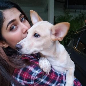 Vanessa Cruez Instagram - Meet Goldy.. She is a cross breed with Golden Retriever.. she has big paws and upwards ears.. and this baby is in need of a forever home.. anyone willing to take her as a member in your family do dm me.. She is 4 months and vaccinated.. Such a playful sweetheart..

#vanessacruez #vanessa #adoptdontshop #adopt #furkid #needahome #dogsofinstagram #goldenretriever #happiness #spreadlove #showthemlove #straykids #dogs #instapic #insta #instadaily #instamood #instafashion #instagood  #beyourself #lifeisgood #love #instaphoto #pose #spreadjoy #candid #playful #fun #sweet #upforadoption