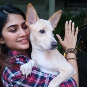 Vanessa Cruez Instagram - Meet Goldy.. She is a cross breed with Golden Retriever.. she has big paws and upwards ears.. and this baby is in need of a forever home.. anyone willing to take her as a member in your family do dm me.. She is 4 months and vaccinated.. Such a playful sweetheart..

#vanessacruez #vanessa #adoptdontshop #adopt #furkid #needahome #dogsofinstagram #goldenretriever #happiness #spreadlove #showthemlove #straykids #dogs #instapic #insta #instadaily #instamood #instafashion #instagood  #beyourself #lifeisgood #love #instaphoto #pose #spreadjoy #candid #playful #fun #sweet #upforadoption