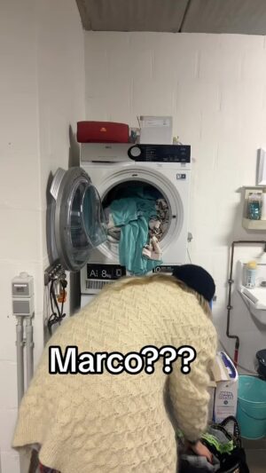 Vanessa van Cartier Instagram - #laundry #marco #joke #blonde #polo #comedy #marcopolo #laugh #happy #explore #viral