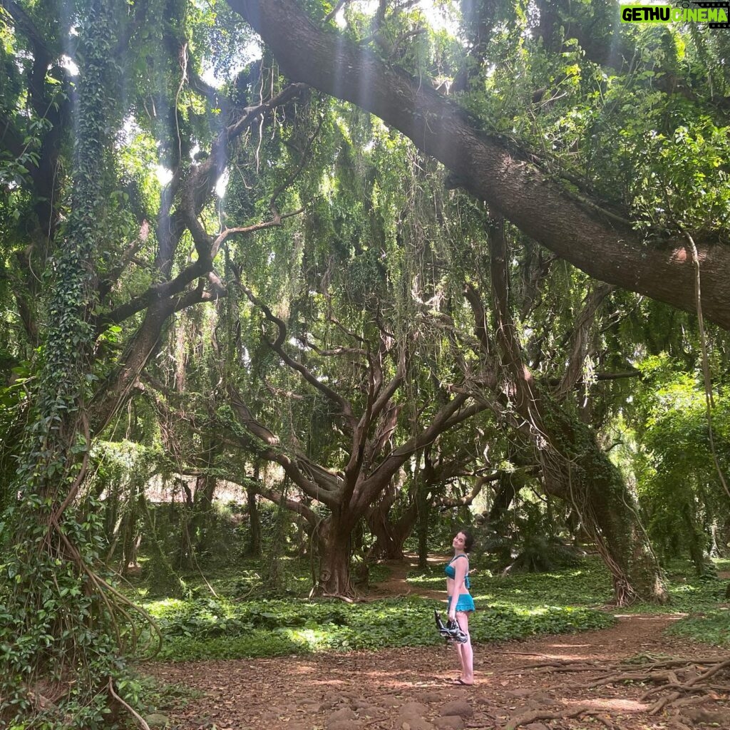 Vanessa Marano Instagram - Oh, hey tree. 🌳