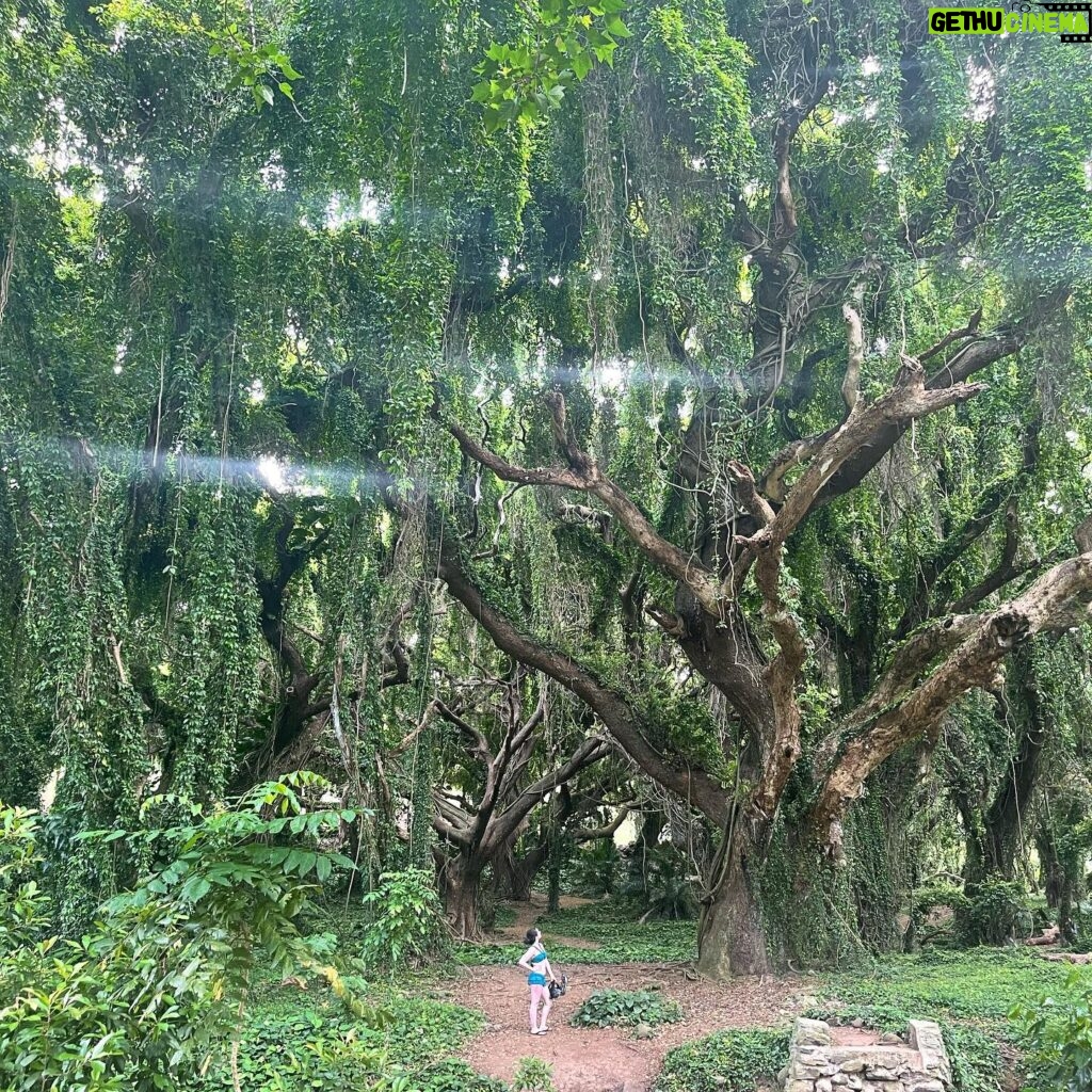 Vanessa Marano Instagram - Oh, hey tree. 🌳