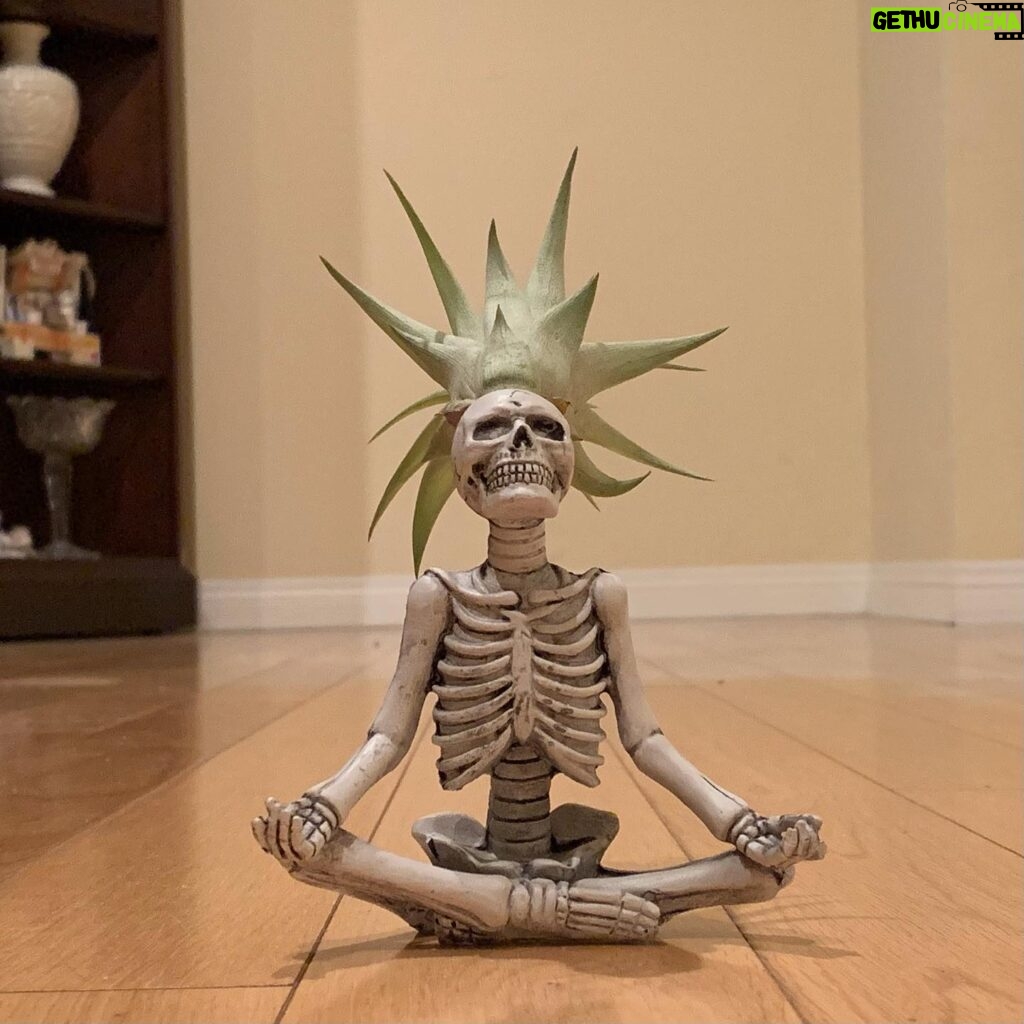 Vanessa Marano Instagram - Halloween 2021. Trader Joe’s Yoga Skeletons 💀 #halloween2021