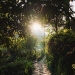 Vanessa Pilon Instagram - « Je ne sais pas exactement ce qu’est une prière. Mais je sais comment prêter attention, comment tomber dans l’herbe, comment m’agenouiller dans l’herbe, comment flâner et être comblée, comment errer à travers champs, ce que j’ai fait tout au long de la journée. Dis-moi, qu’aurais-je dû faire d’autre ? Tout ne finit-il pas par mourir, trop rapidement ? Dis-moi, qu’entends-tu faire de ton unique, sauvage et précieuse vie ? » -Mary Oliver La journée d’été Photos divines par le plus que talentueux @guillaume.stamand captées pendant la retraite Mystique de @doshayogacommunity. Merci merci merci les amis. Quel cadeau cette semaine avec vous. ✨💛