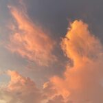 Vedika Pinto Instagram - An Interpretation of a Malady #gharperaho