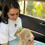 Vedika Pinto Instagram - Sir Benjamin of house hardly-a-canine. Consumer of alltheattentionintheworld and reigning waster of time 👑