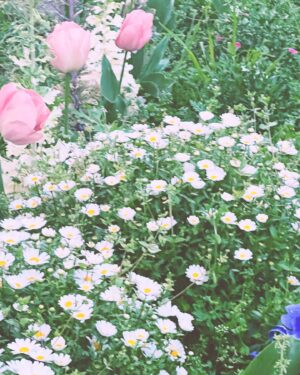 Venus Palermo Instagram - *:･ﾟ✧*:･ﾟ✧ 
Thank you all for the support on my Patreon and all the positive wishes.
It really made me so happy to see them. 💕 Today being Monday, the week has started with me feeling hopeful and happy…! 👒
*:･ﾟ✧*:･ﾟ✧
The weather has been nice the last few days, and yesterday I went to do a Hanami by myself and came across these beautiful flowers…they remind me of my childhood a bit! 🧚🏻‍♀️
I hope you like them too. 🌸
*:･ﾟ✧*:･ﾟ✧ 
I will post some more photos of on my Patreon…I will update you again soon…!💫