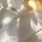 Verónica Bravo Instagram - Piernas libres.