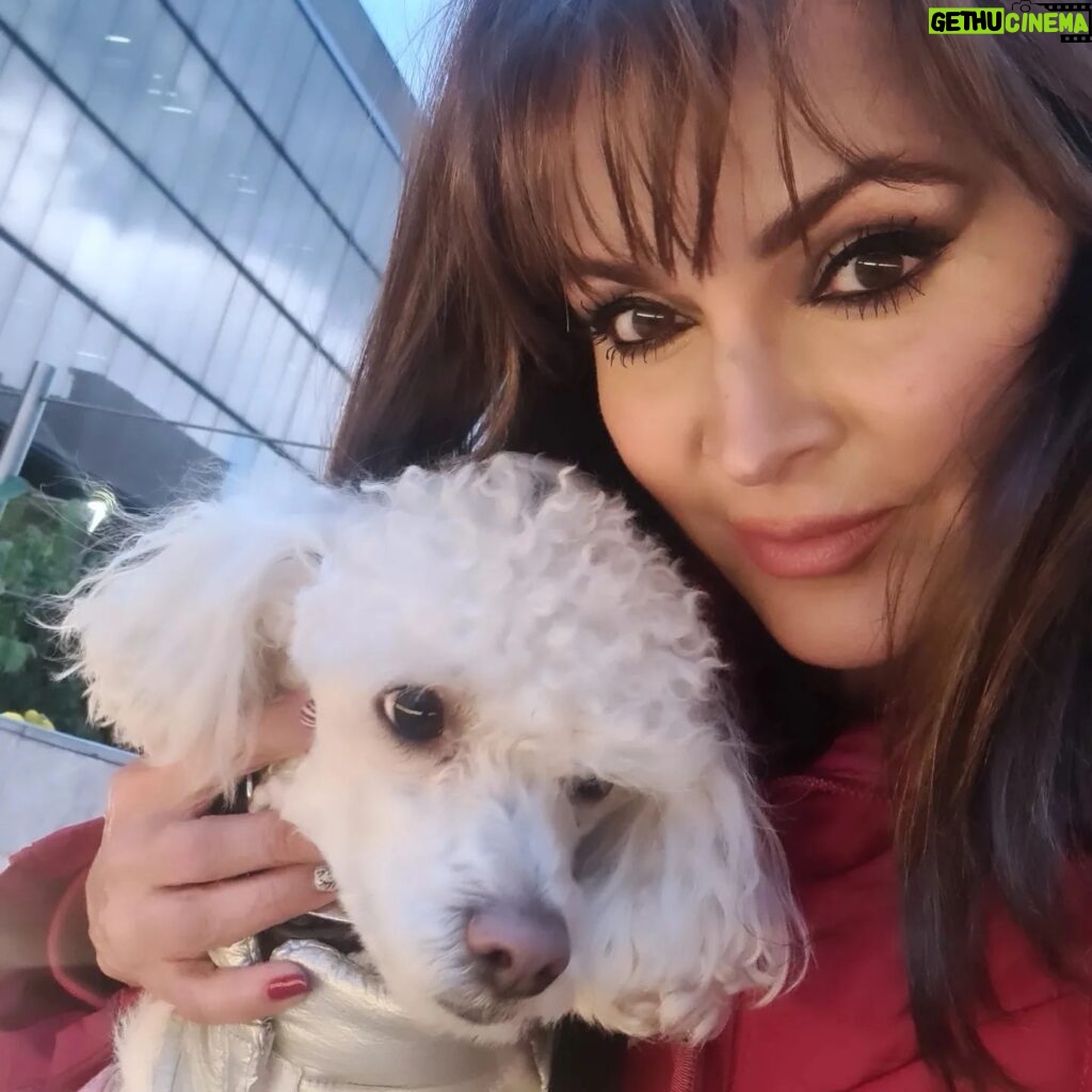 Verónica Macías Instagram - Con mi amigo Cottage #perros #perrito #perritostiernos #perro #mascotas #perrihijos #perrhijo #mascota
